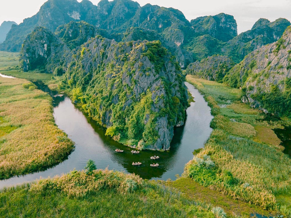 Van Long Wetland Nature Reserve is a green gem of Ninh Binh, renowned for its rich biodiversity, pristine landscapes, and peaceful atmosphere